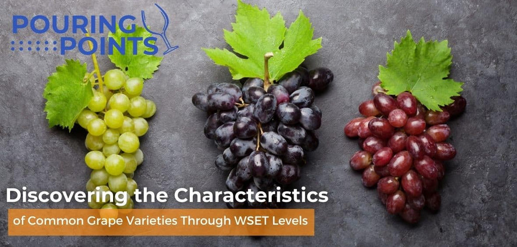 Common Grape Varieties through WSET Levels