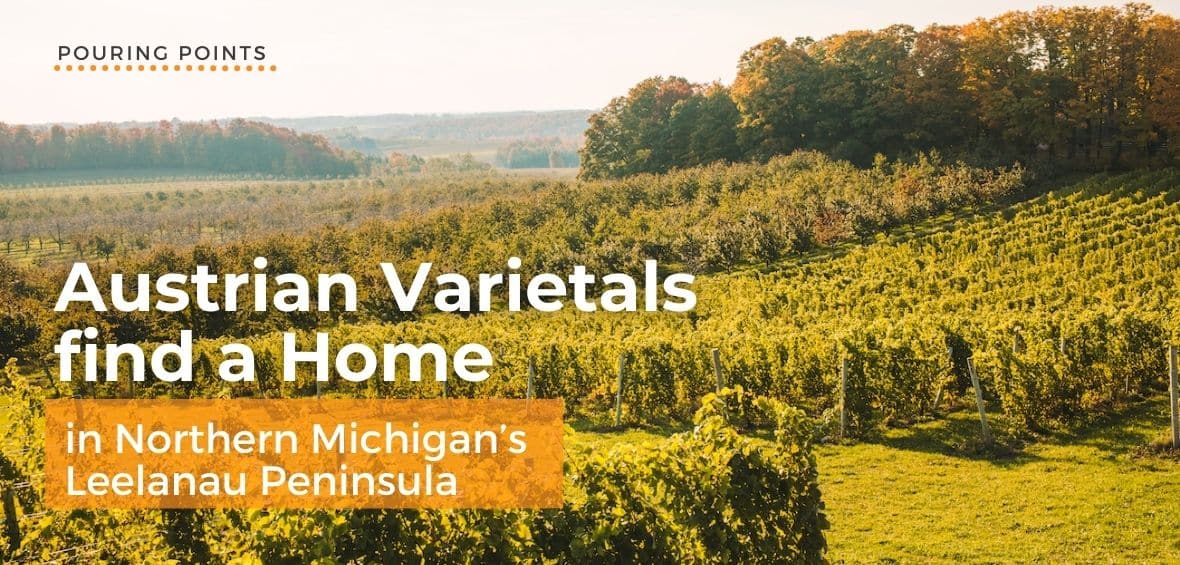 Austrian Varieties find a Home in Northern Michigan’s Leelanau Peninsula - Napa Valley Wine Academy