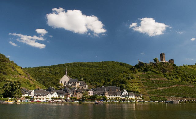 A scenic town on a hill overlooks a lake, with buildings nestled among trees, a green field, and white clouds dotting the sky.