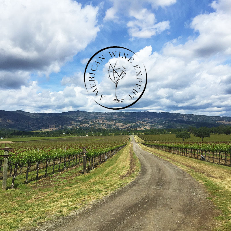 A dirt road leads through a vineyard, with a logo of a wine expert and a white cloud in the sky above.