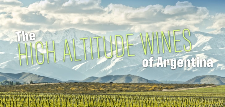 Napa Valley Wine Academy Wine Articles A field of green and yellow plants with a mountain range in the background under a blue sky with scattered clouds.