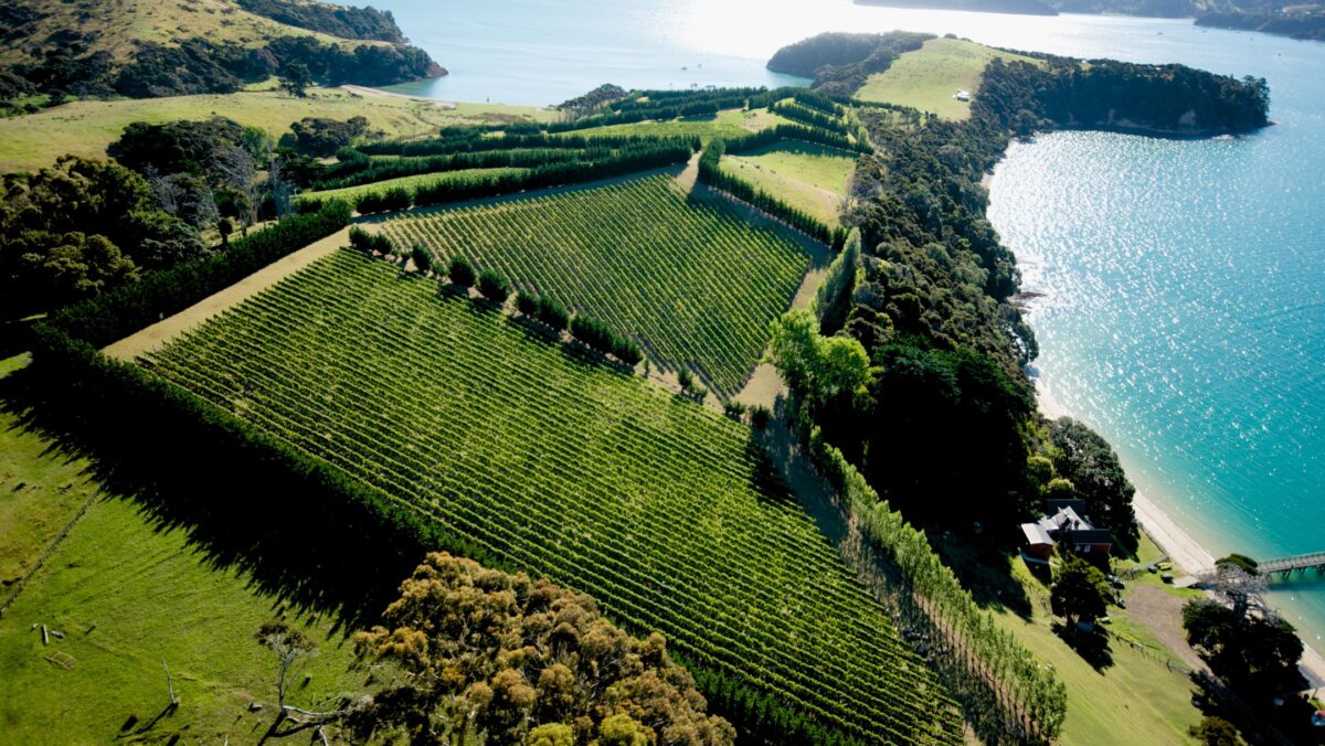 New Zealand - Exhilarating Wines from a Pristine Land - Napa Valley Wine Academy