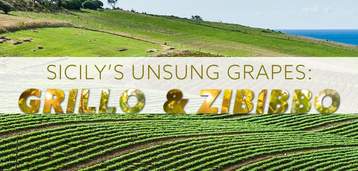 A green field with a hill and trees under a blue sky, featuring a close-up of a sign and some green plants.