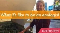 What it's like to be an enologist - Napa Valley Wine Academy