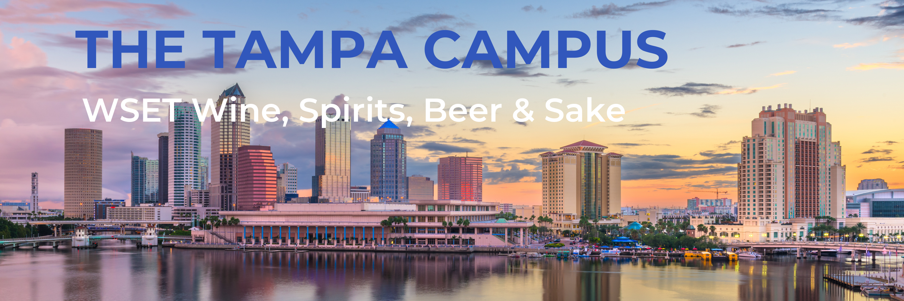 Tampa skyline, WSET Wine, Spirits, Beer, Sake courses and certification.