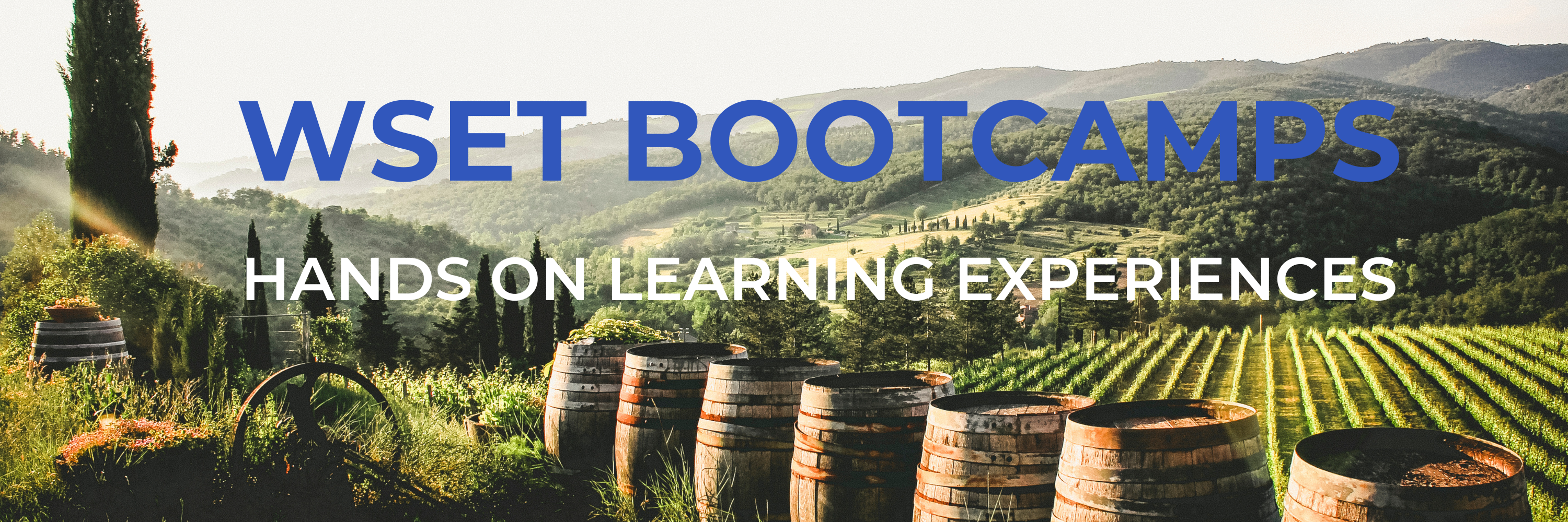 WSET Bootcamps and Wine Classes in Napa Valley A group of weathered barrels with metal rings sits in a grassy field, backed by trees and a distant mountain under a clear sky.