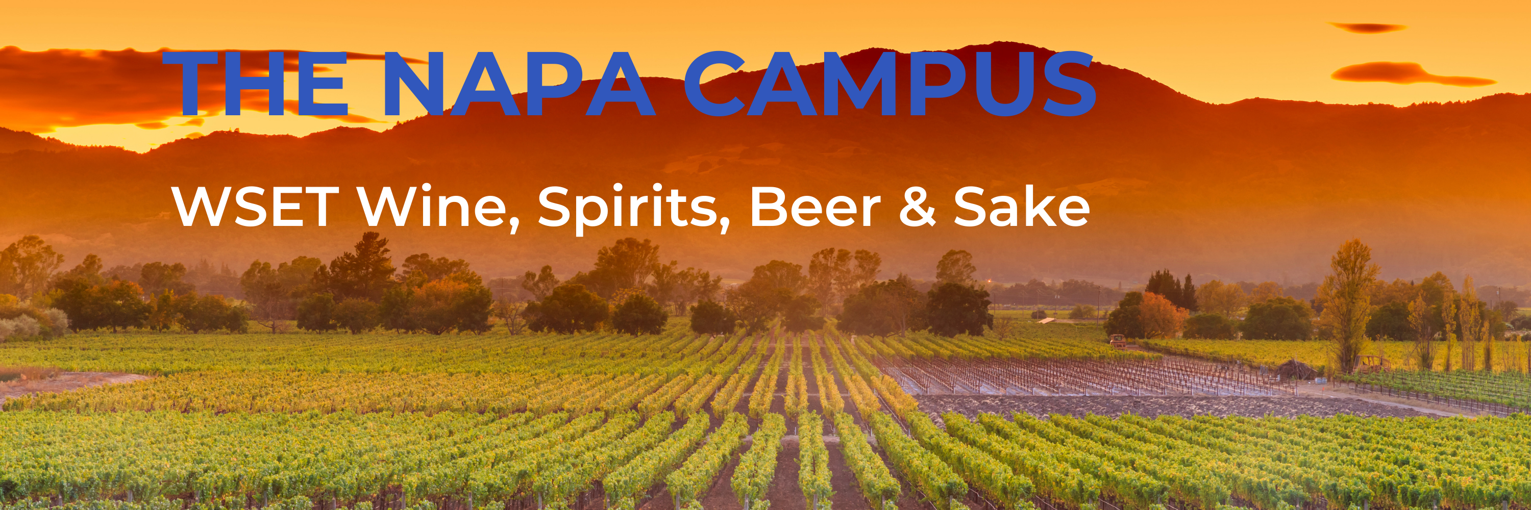 Napa Valley view, WSET Wine, Spirits, Beer, Sake courses and certification.