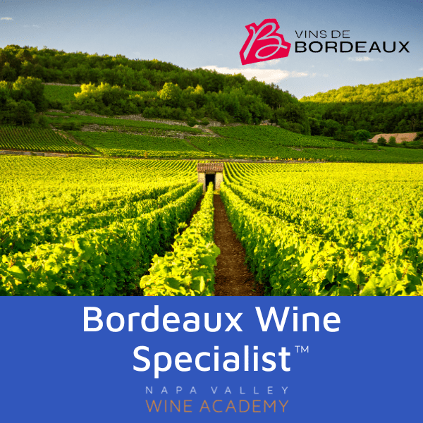 Bordeaux Wine Specialist | Online - Napa Valley Wine Academy