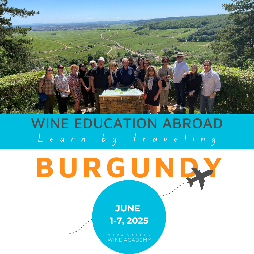 Burgundy Wine Study Trip - !!! Sold Out - Book Below to Join the Waitlist !!!