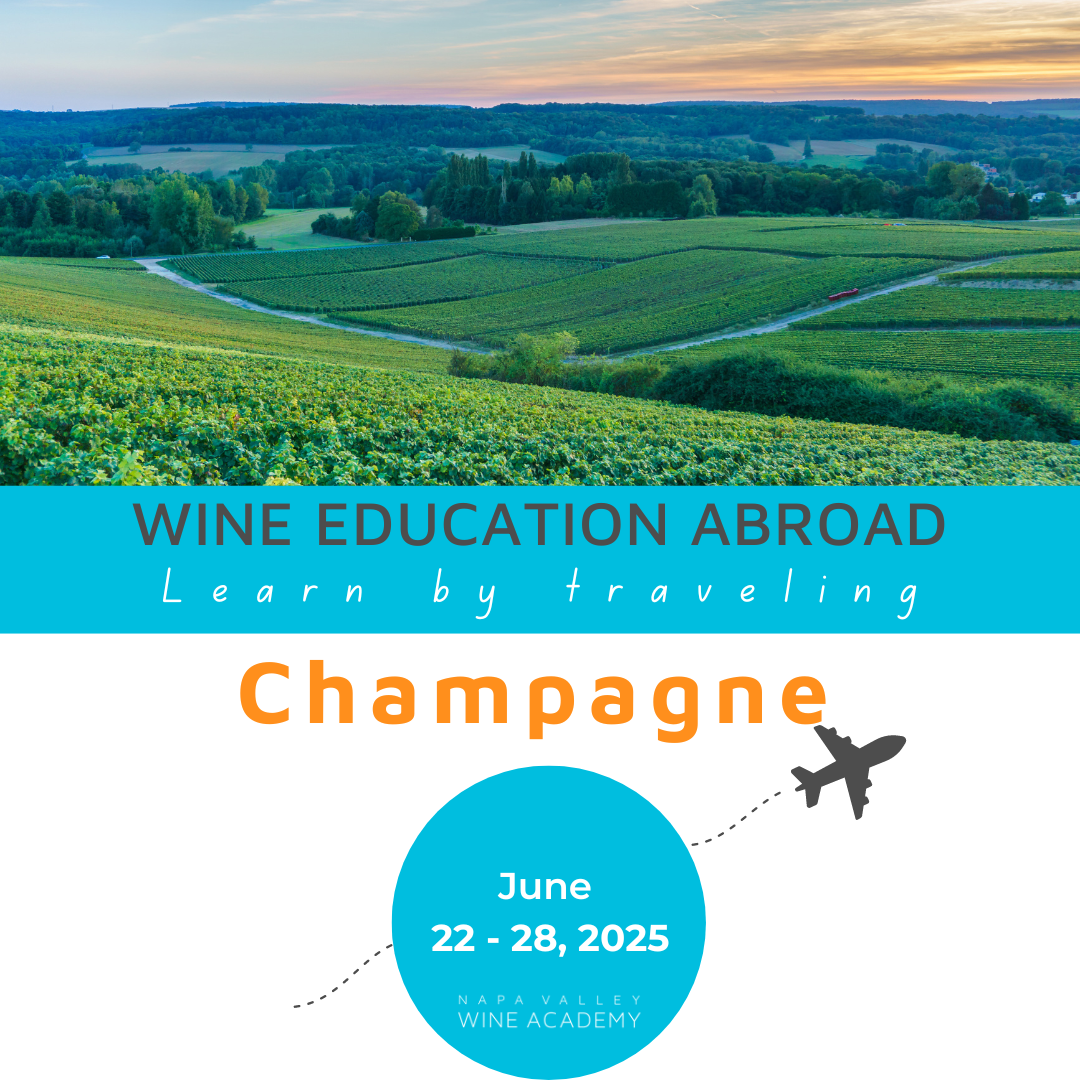 Champagne Wine Study Trip - !!! Sold Out - Book Below to Join the Waitlist !!!