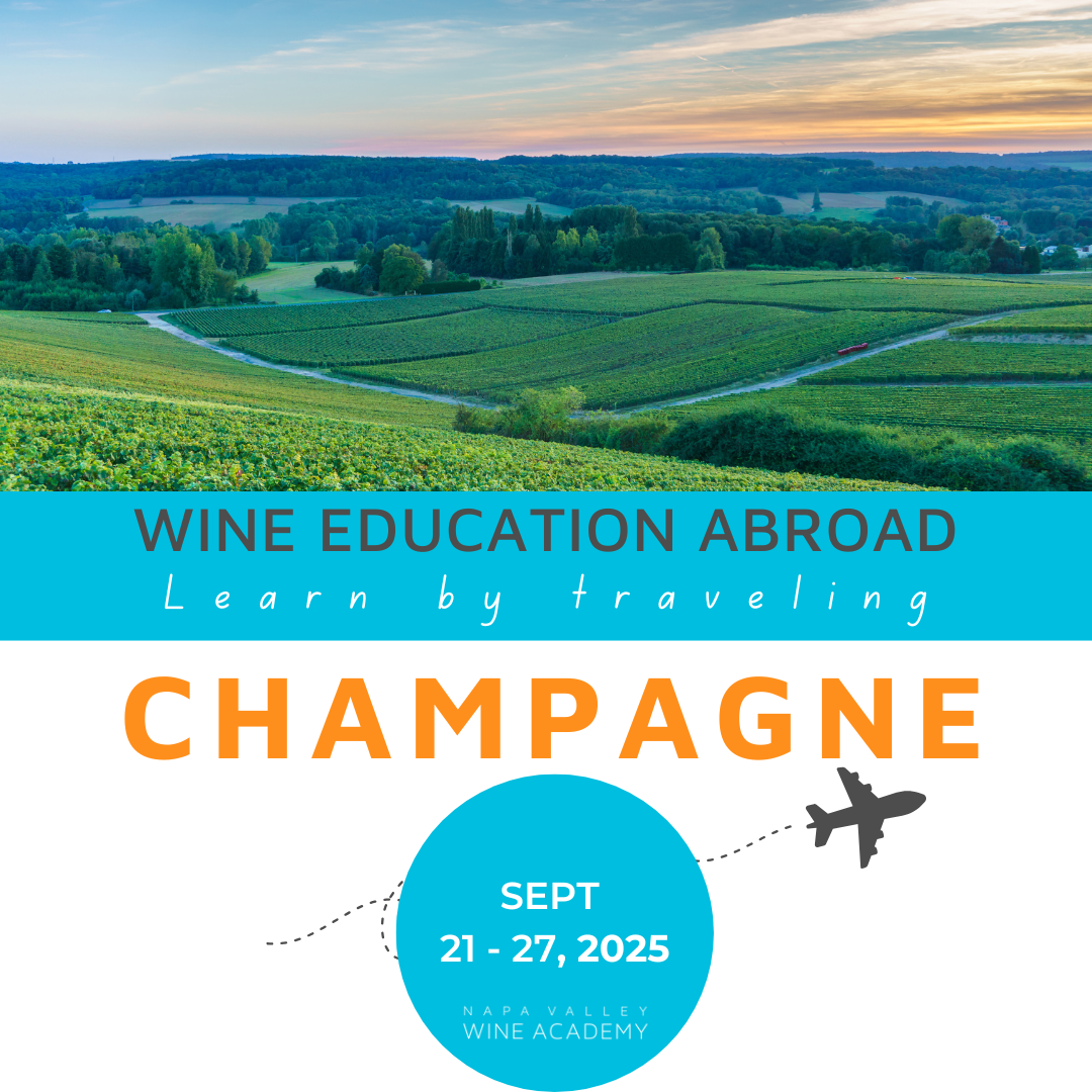 Champagne Wine Study Trip - NEW FOR 2025! Poster featuring an airplane silhouette, blue circle with white text, and scenic landscape background.