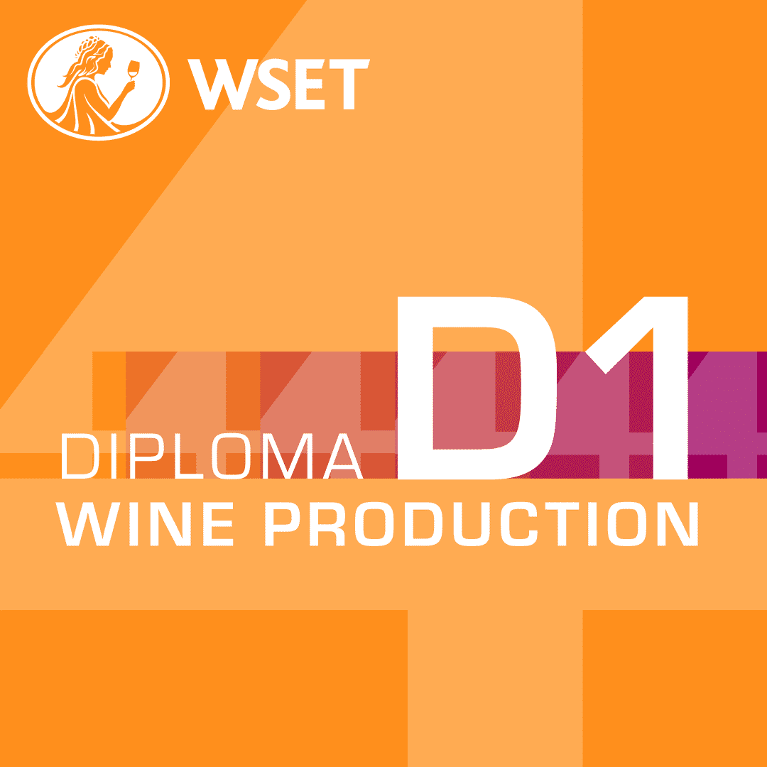 Woman holding wine glass promoting WSET Level 4 Diploma | D1 Wine Production, highlighting wine production education and enrollment details.