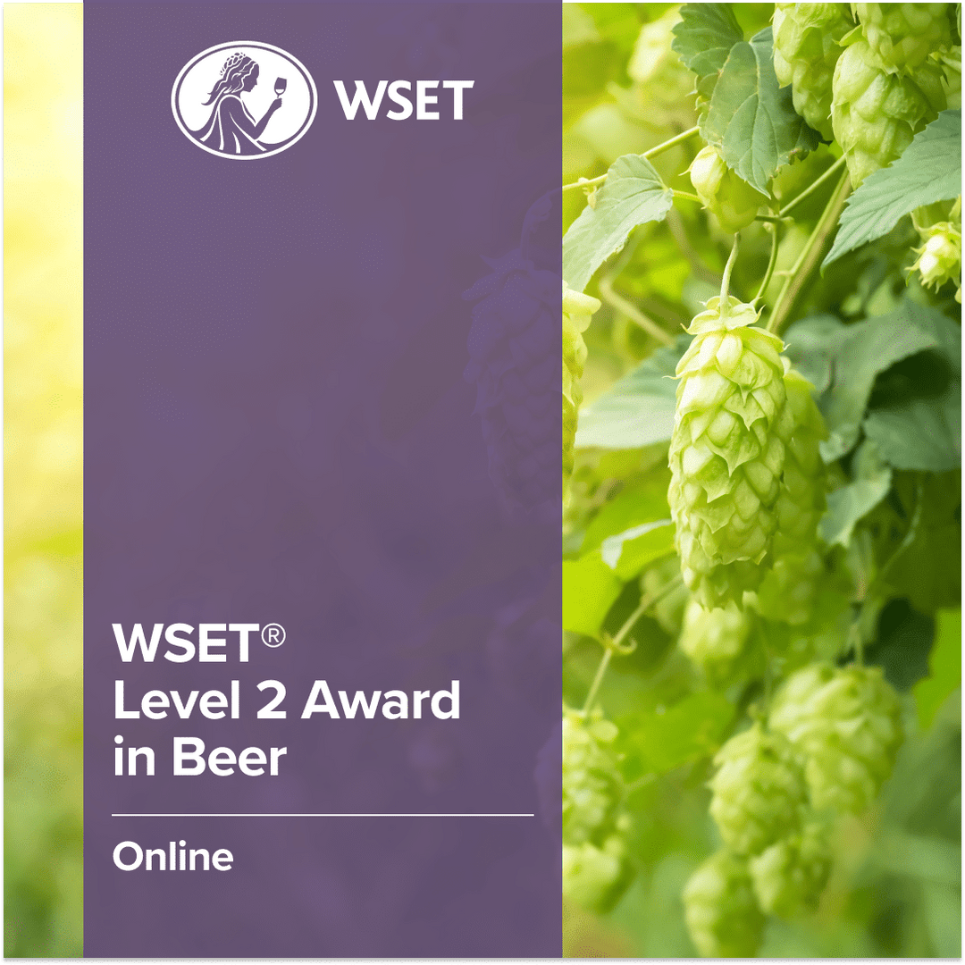 Close-up of plant leaves symbolizing natural ingredients, accompanying the WSET Level 2 Award in Beer | Online course, focused on beer ingredients, production, and tasting skills.