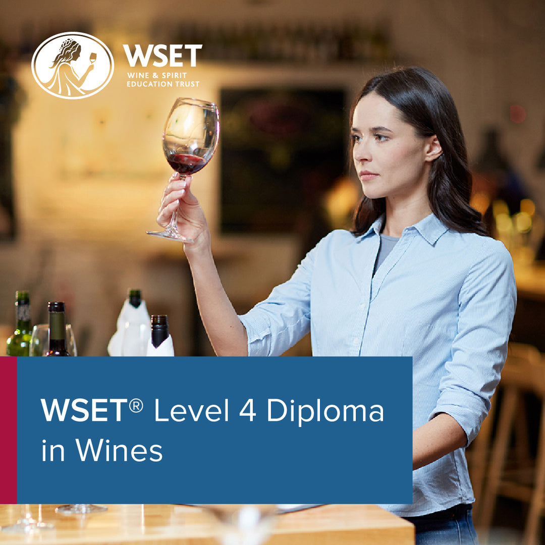 Woman holding a wine glass, representing the WSET Diploma New Candidate Registration Fee, essential for enrolling in the Level 4 D1 Wine Production course.