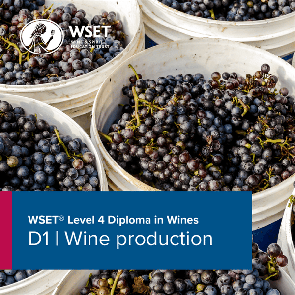 WSET Level 4 Diploma | D1 Wine Production - Napa Valley Wine Academy