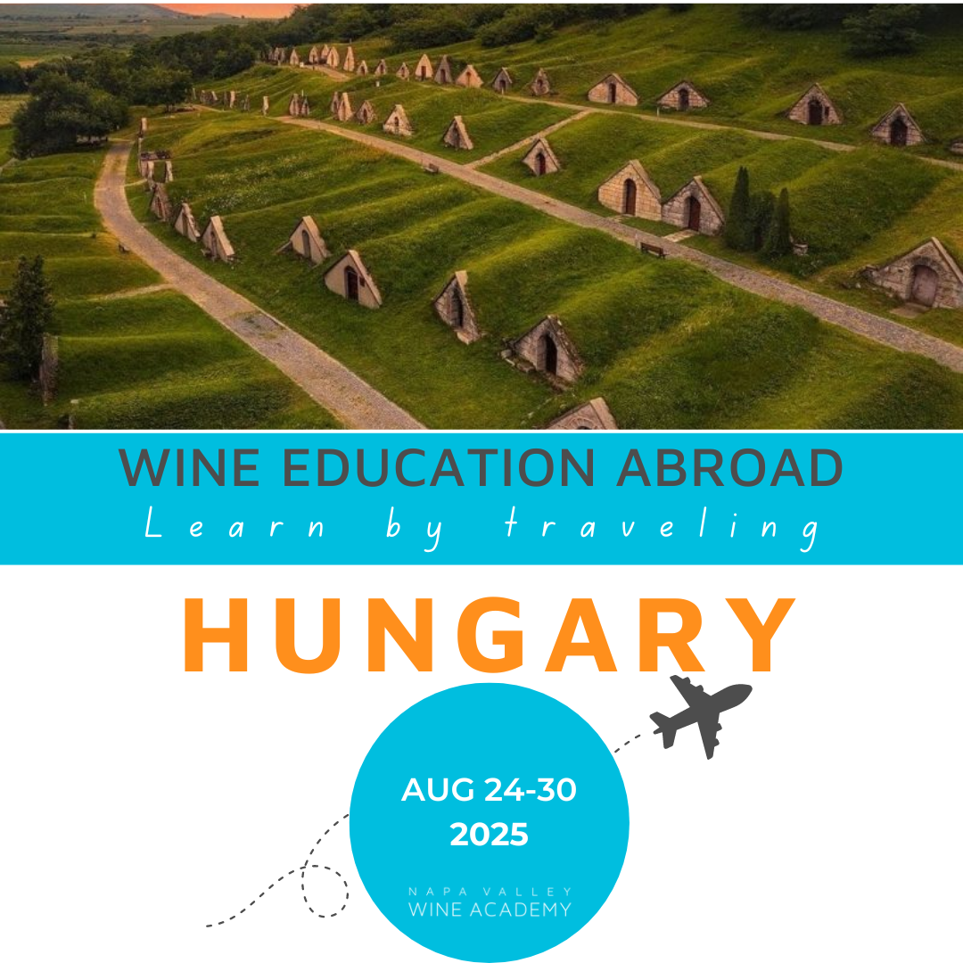 Hungary Wine Study Trip: Image of Budapest's hillside houses, a logo, and an airplane silhouette, representing the wine and cultural adventure guided by Csilla Kato.