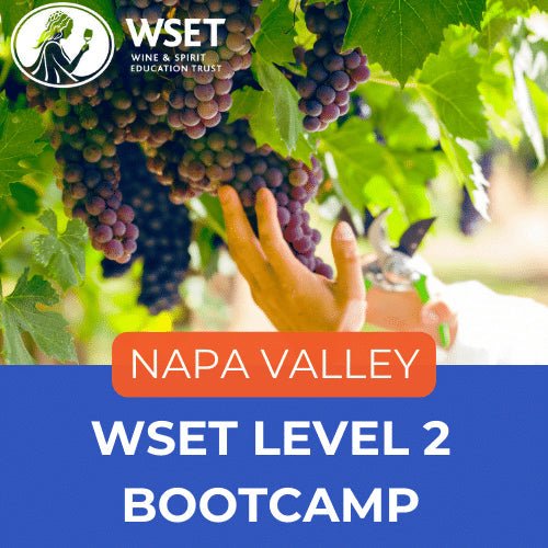 WSET Level 2 Award in Wines | Bootcamp - Napa Valley Wine Academy