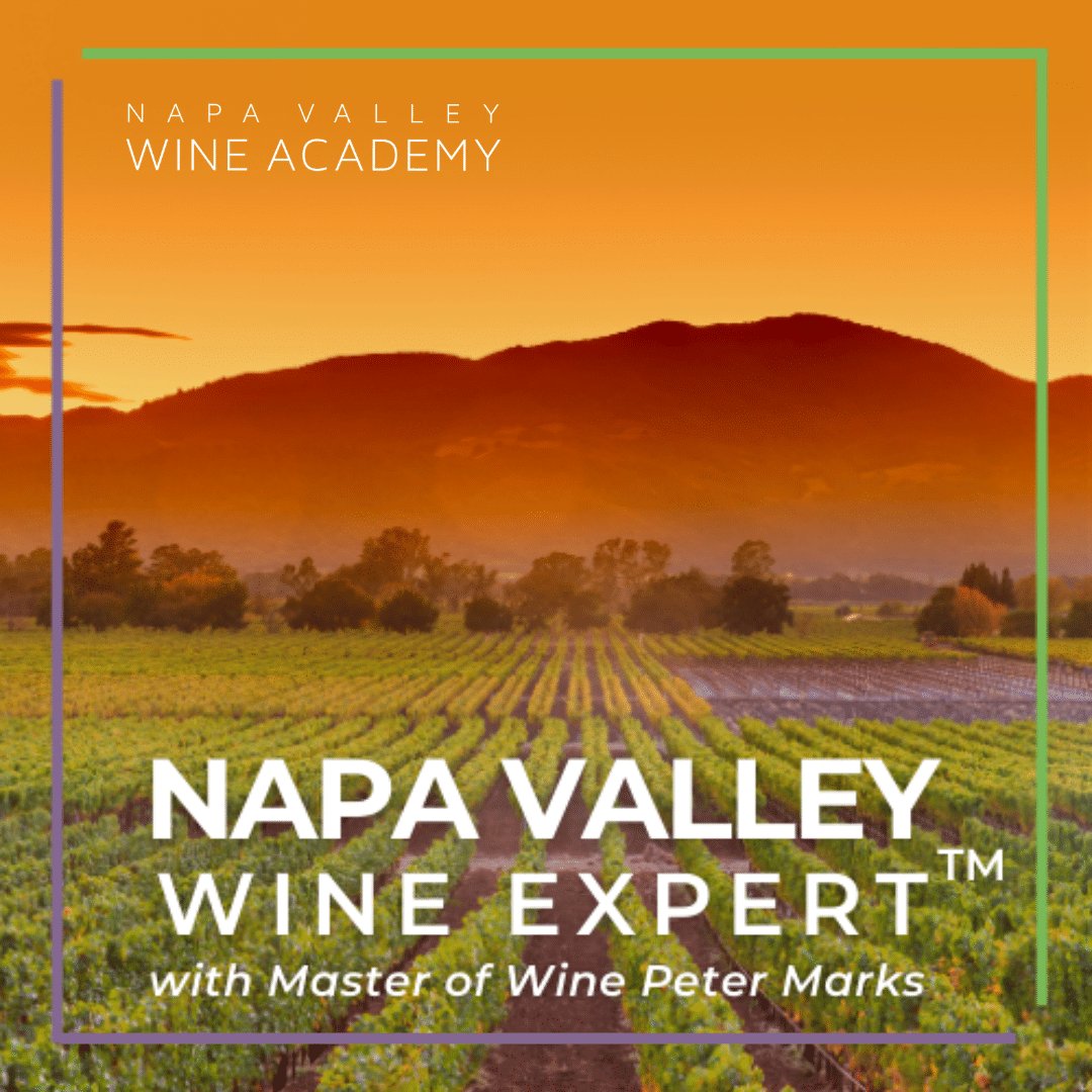 Napa Valley Wine Expert Online Course™: Vineyard with mountain backdrop, highlighting an in-depth certification course on Napa Valley wines by Master of Wine Peter Marks.