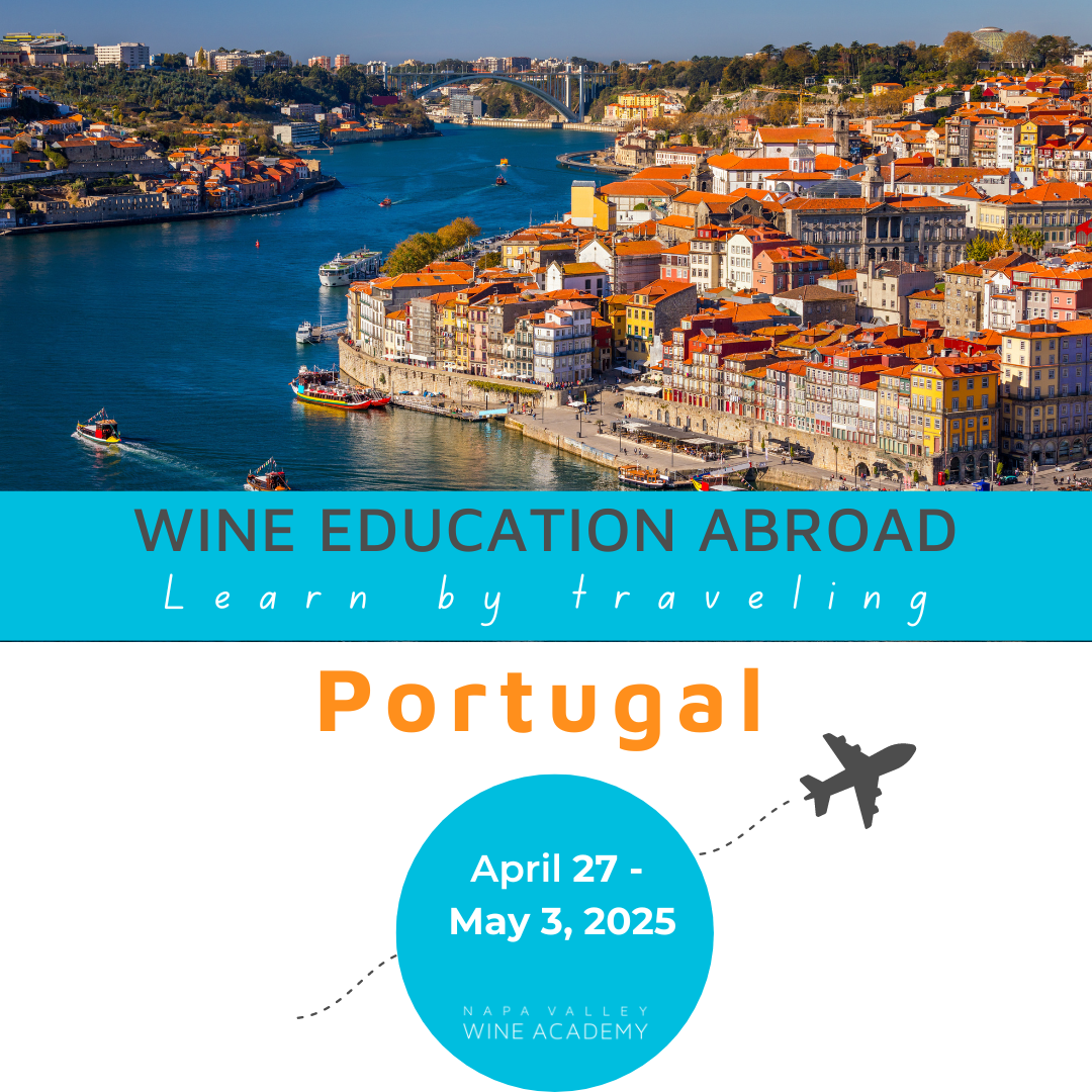 Portugal Wine Study Trip: Scenic view of Porto's riverside buildings, a boat on the Duoro River, and wine-themed elements.