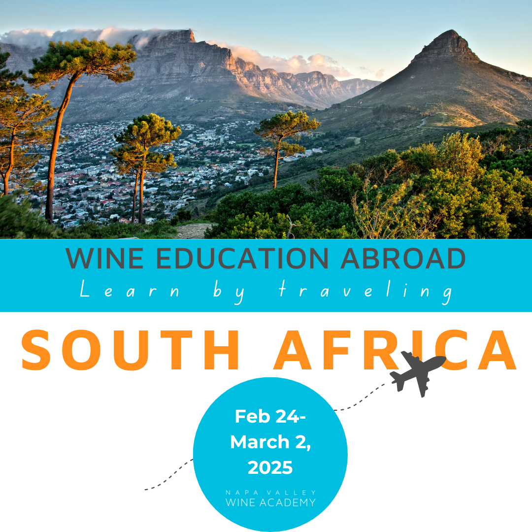 South Africa Wine Study Trip