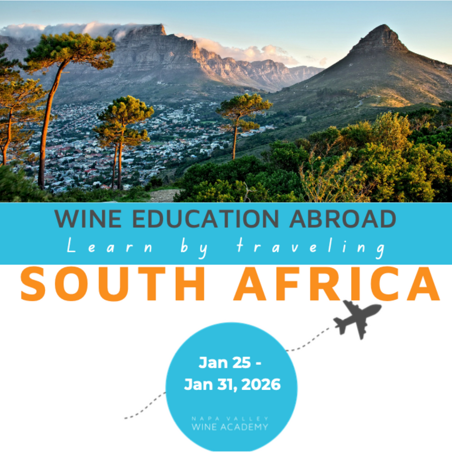 South Africa Wine Study Trip poster featuring mountains, trees, and an airplane, highlighting the immersive wine experience in Stellenbosch with expert Fiona McDonald.