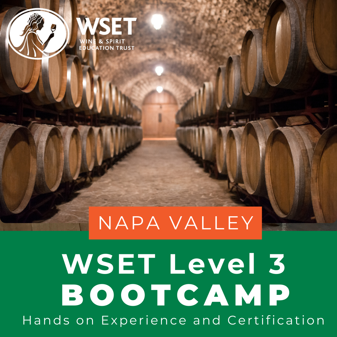 WSET Level 3 Wine Spring and Harvest Boot Camp in Napa, California; wooden barrels in a wine cellar, highlighting immersive winemaking experience.