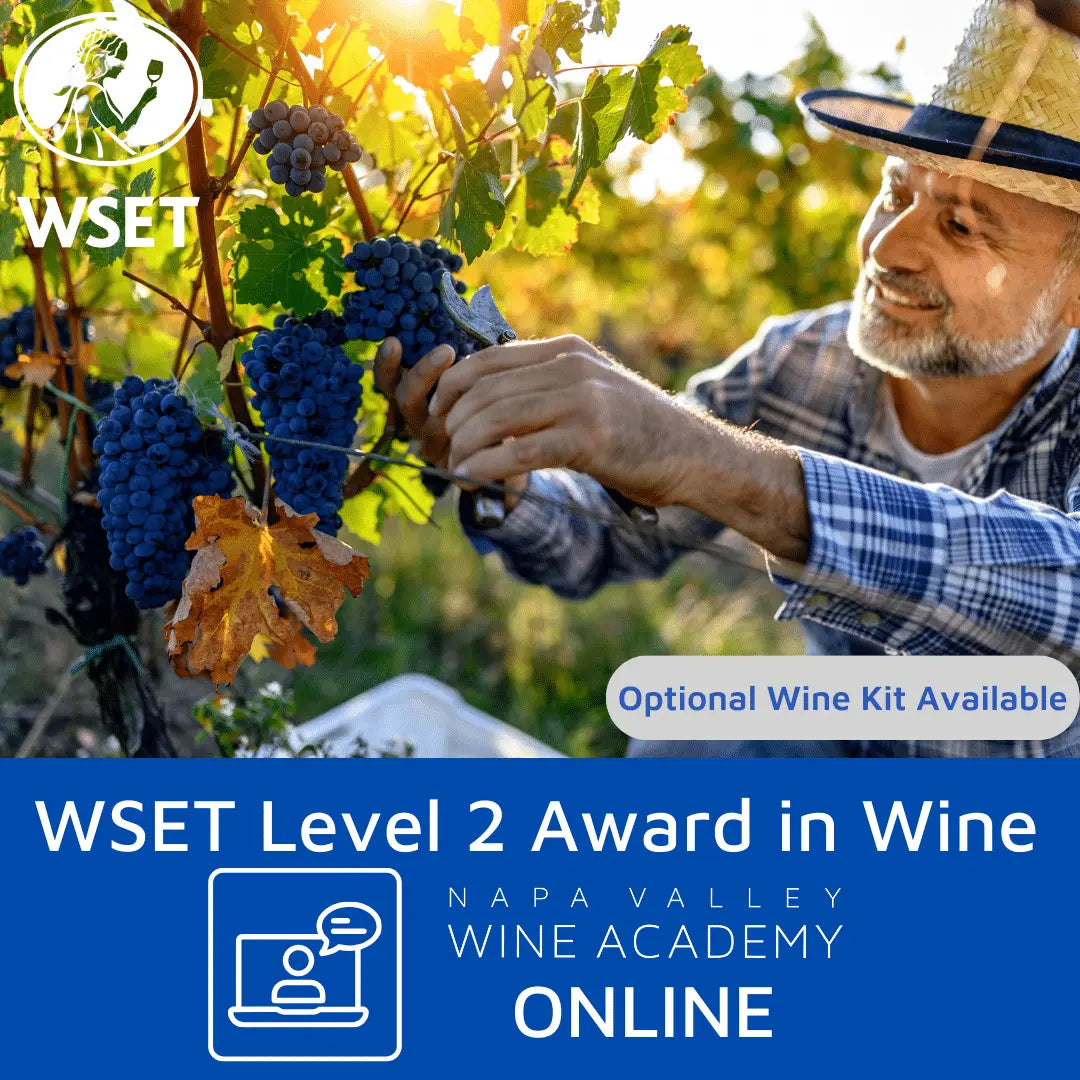 A man in a hat picking grapes from a vine, illustrating the hands-on learning in the WSET Level 2 Award in Wines online course.