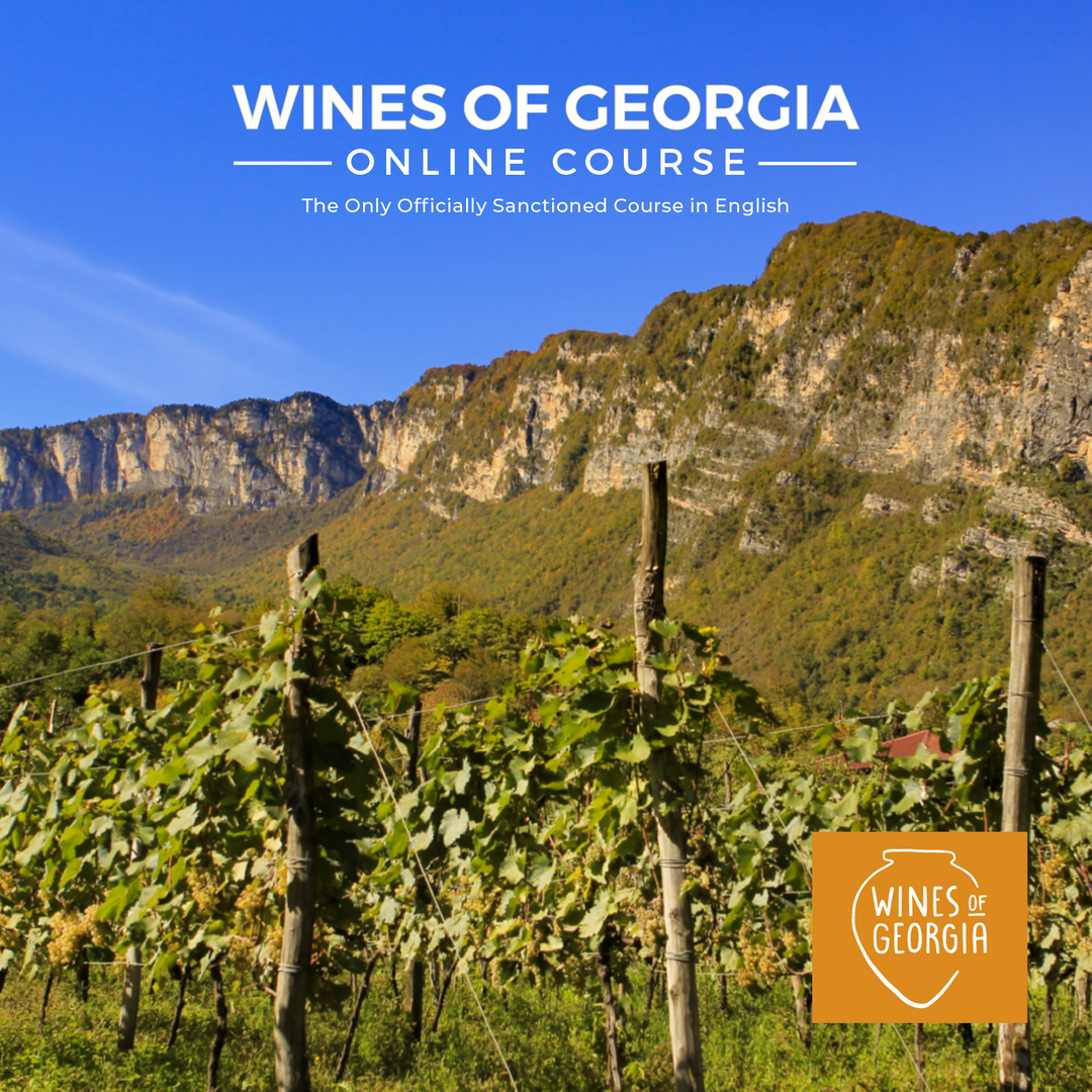 Wines of Georgia | Online Course