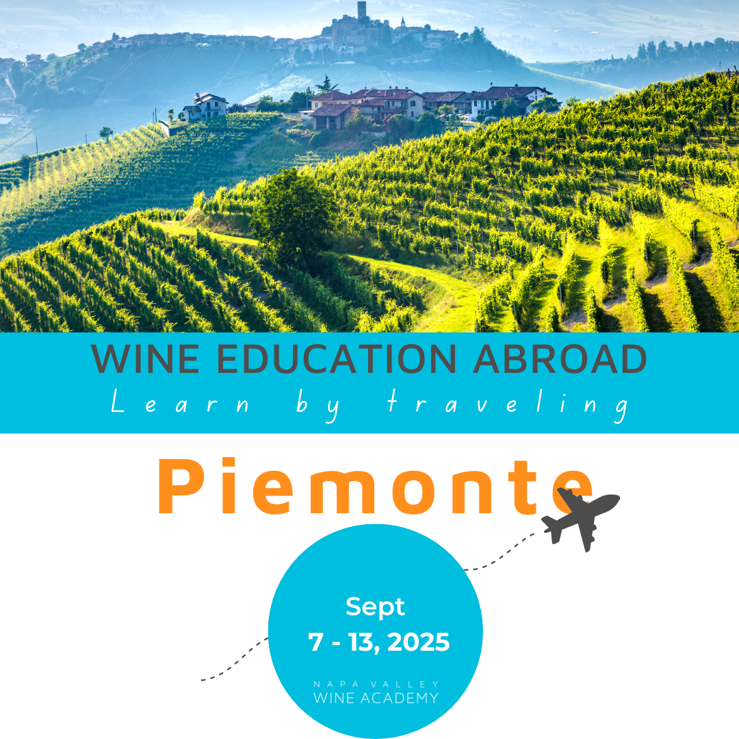 Vineyard poster promoting the Piemonte Wine Study Trip, featuring scenic views of vineyards and towns, sold out with a waitlist option.