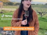 WSET Level 2 Award in Wines | Bootcamp