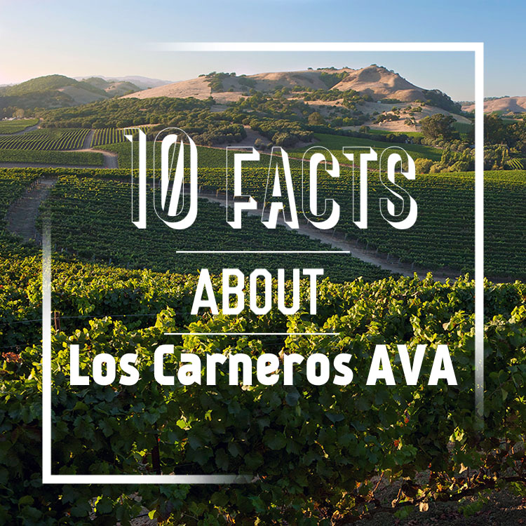 10 Facts About Los Carneros AVA
