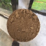 Lodi Native Soils Top