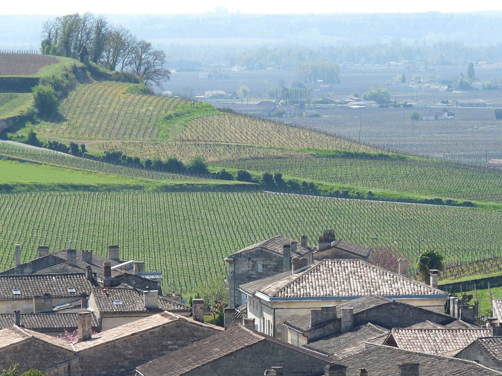 St_Emilion Vineyards