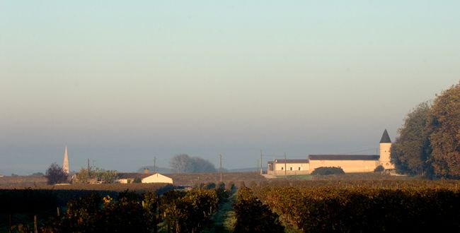 Chateau-guiraud-sauternes