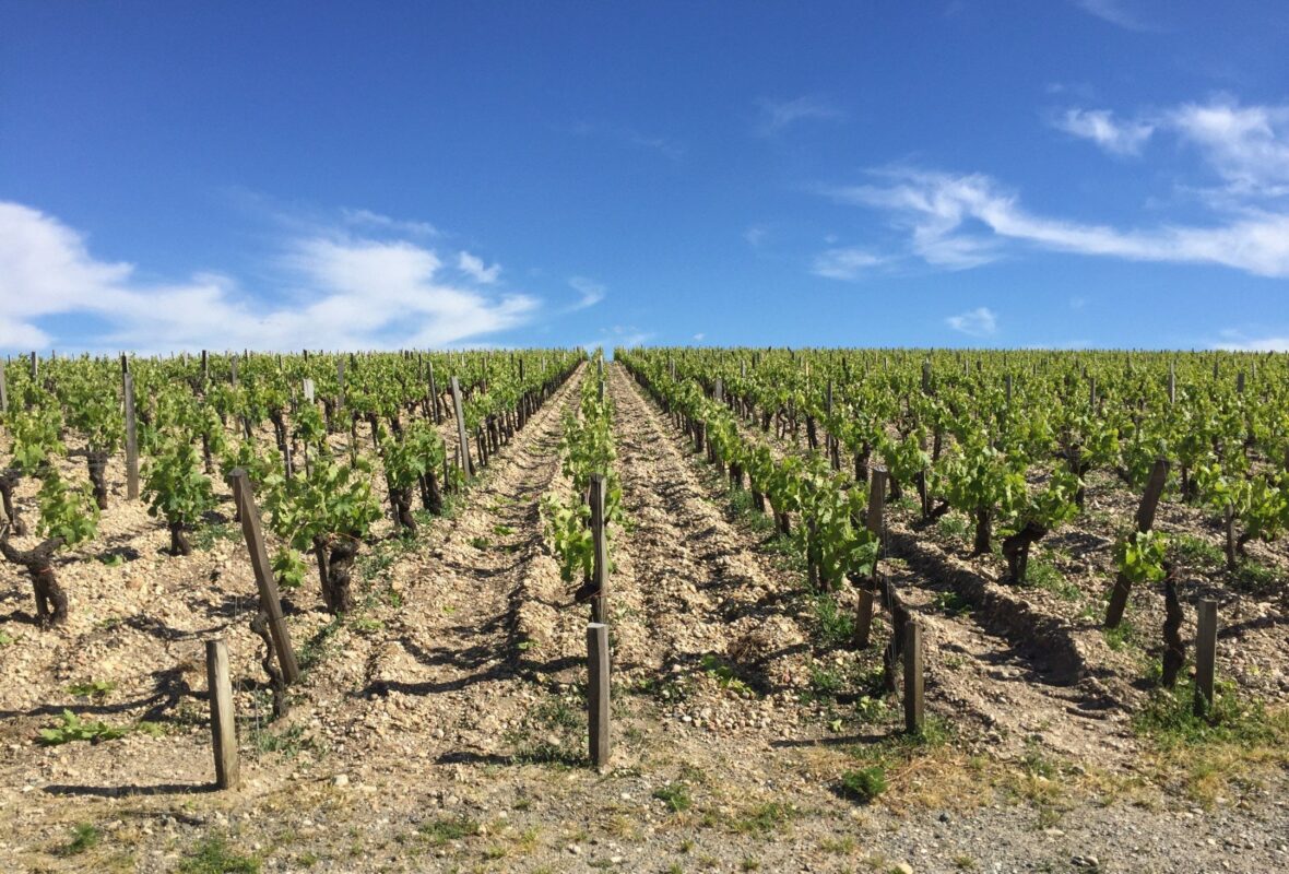 Medoc, Bordeaux