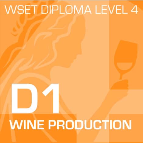 D1 WineProduction