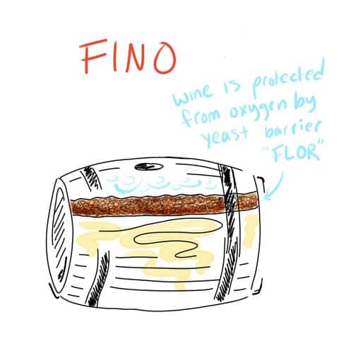 Fino1