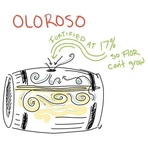 Oloroso2