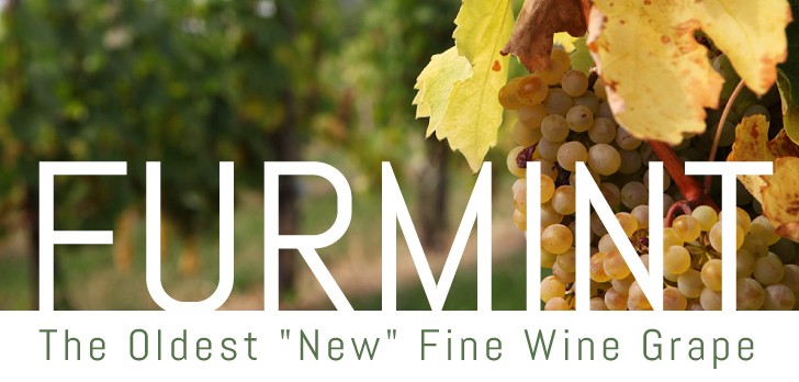 Furmint FB