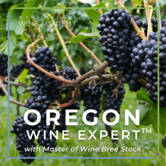 Oregon Wine Expert New Image