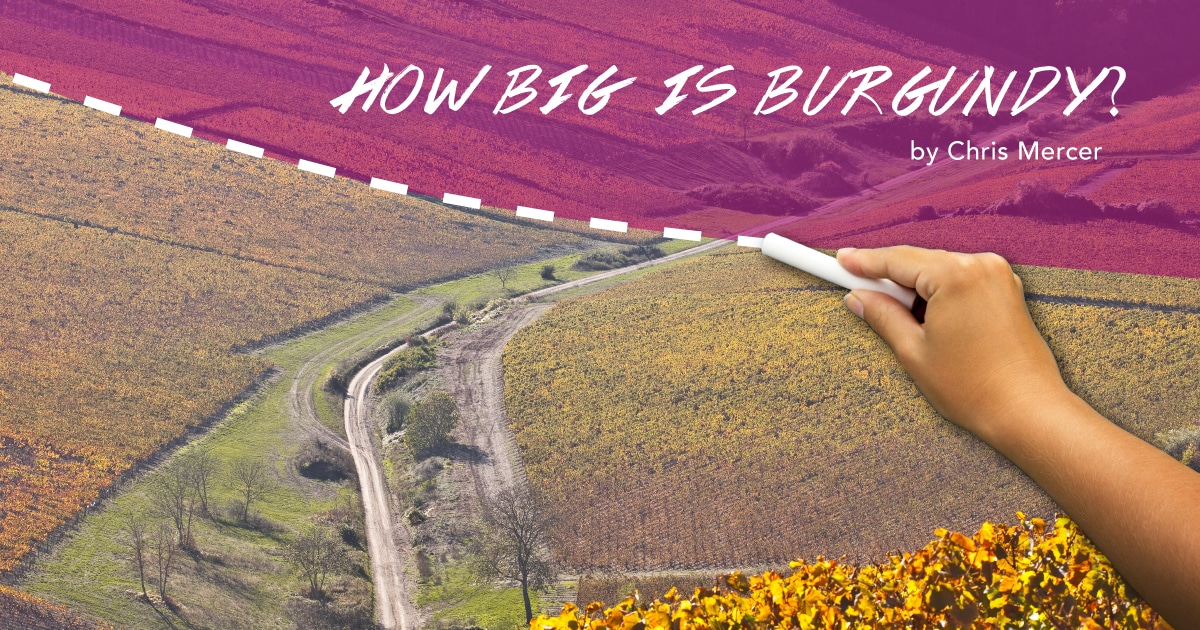 How big is Burgindy?