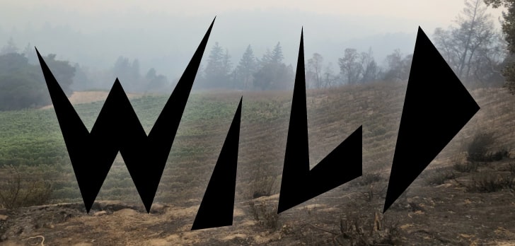 Everything We Know About the 2020 California Fires