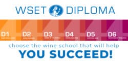 Everything You Need To Know About Taking WSET Diploma