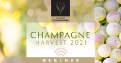 Champagne-Harvest