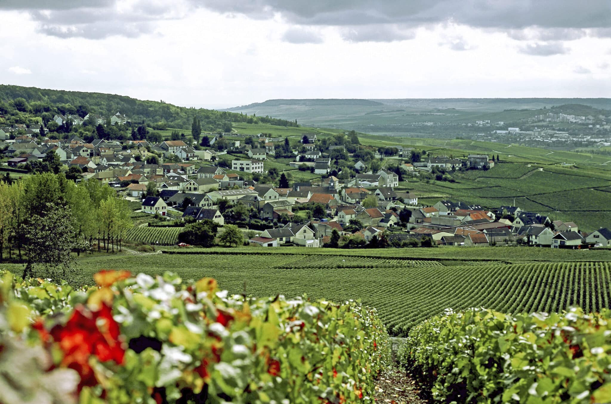 Village in Champagne Region in France