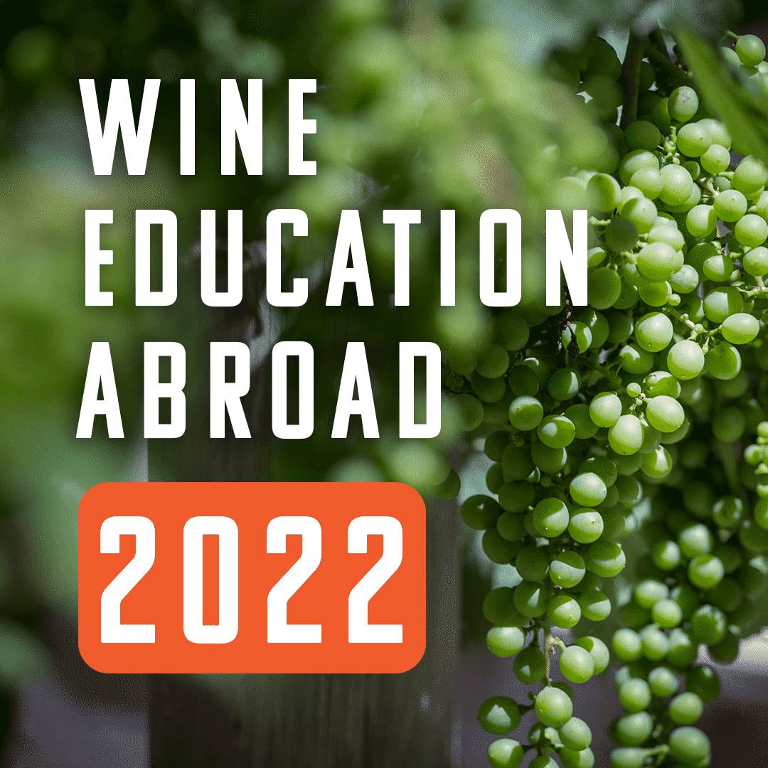 Wine Education Abroad