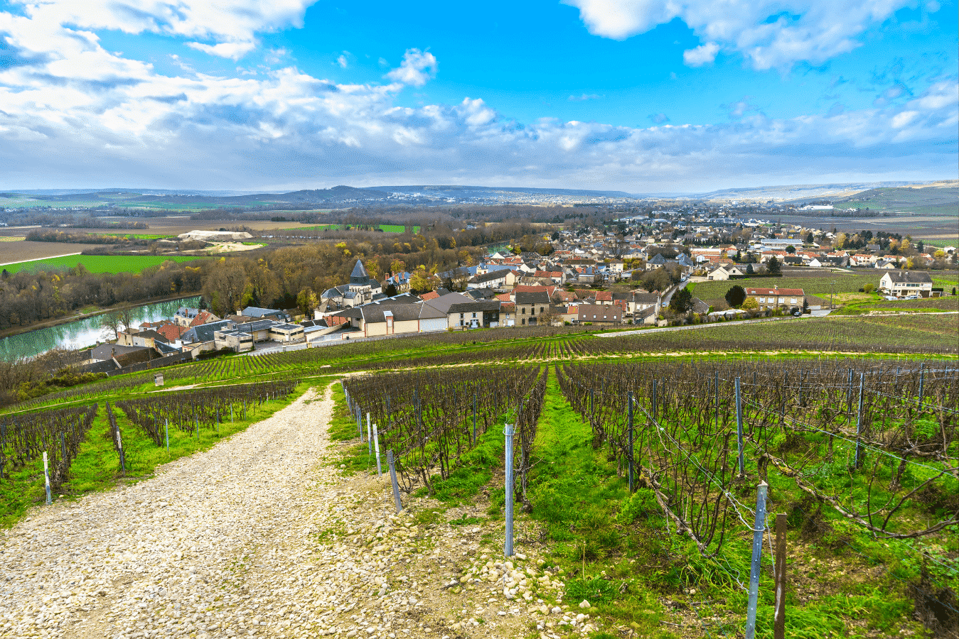 Mareuil on ay Epernay Marne Champagne