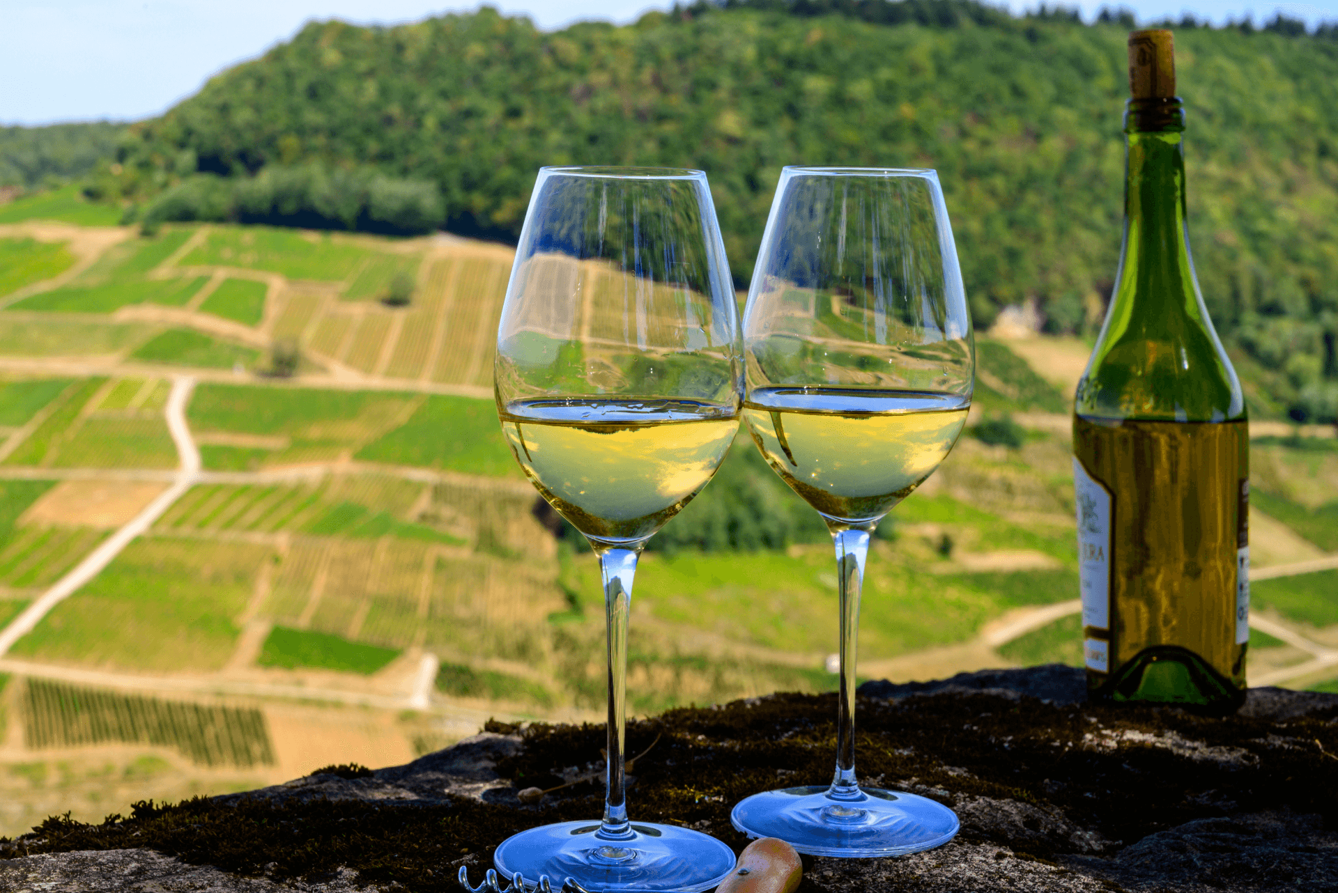 Jura Wine in Jura Region of France