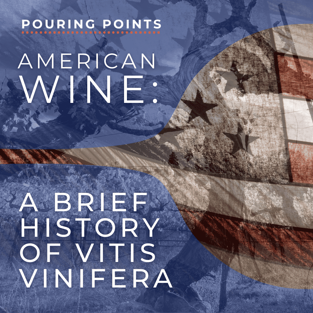 A breif history of vitis vinifera