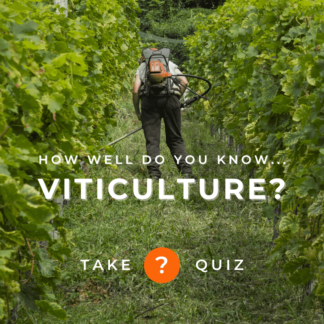 Viticulture quiz cover square 2